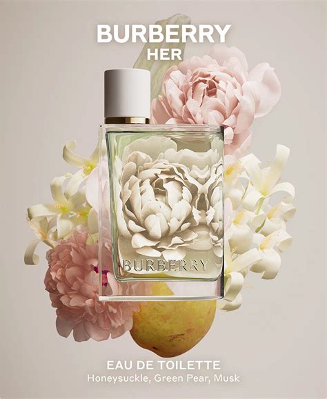 burberry her edt 2022|where to buy burberry her.